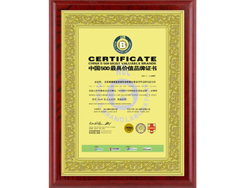 中国500最具价值品牌